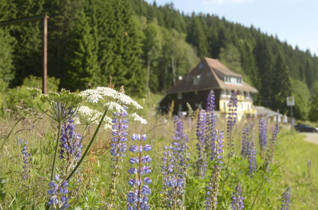 Gasthaus Hotel Loeffelschmiede Feldberg  Εξωτερικό φωτογραφία