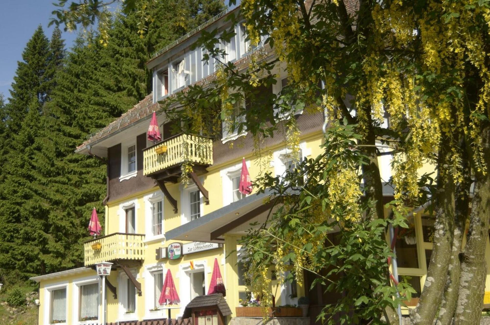 Gasthaus Hotel Loeffelschmiede Feldberg  Εξωτερικό φωτογραφία